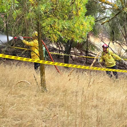  The Blenhiem fire brigade extinguishing a non-fire.