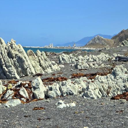  The view up the coast on Ward Beach.