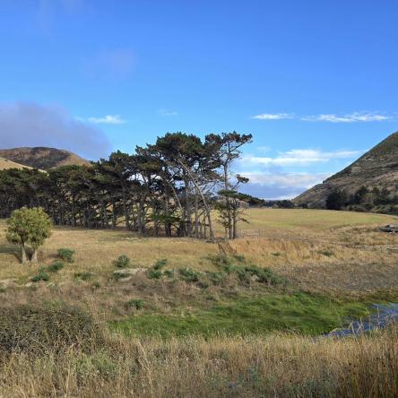  Walking out from Ward Beach.