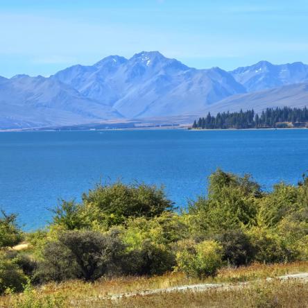  One of those South Island lakes filled with water.