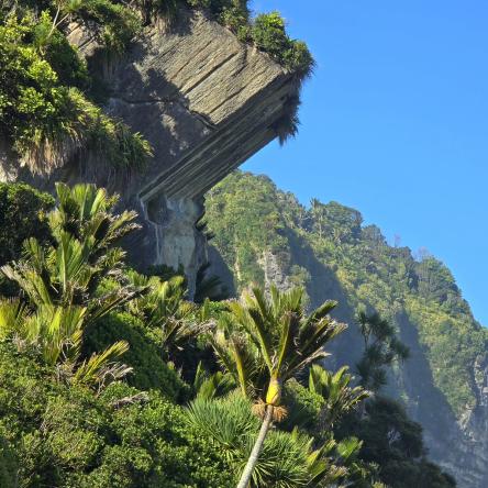  Hitching on the side of the road at Punakaiki - us, not the rock.