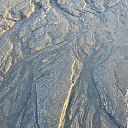  The beach sand as a living fractal topography.