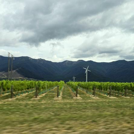  Between Westport and Picton.