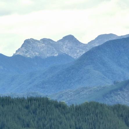 Between Westport and Picton.