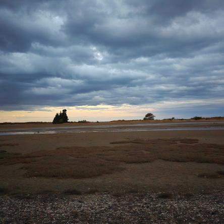  Looking across the tidal flats at Te Kumara.