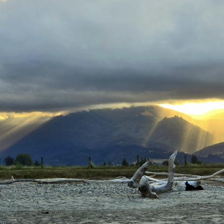  The north coast at Motueka.