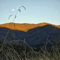  Just south of Takaka the moon sliding behind the hills with the sun beginning to light our valley.