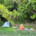  Our spot at McKee Memorial Scenic Reserve.
