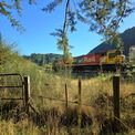  Being next to a rail line there were bound to be trains.