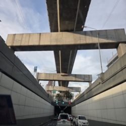  Deep in the concrete jungle