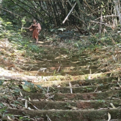  The terrain is very steep in parts with vertical steps not uncommon