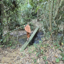  Bamboo bridges would only last a few years but were relatively easy to replace