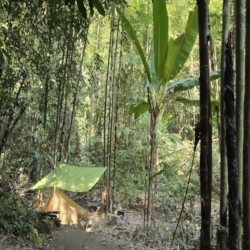  My camp site next to the river