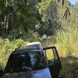  The road in to Dtao Dum