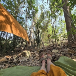  Time out for a little horizontal meditation.