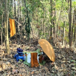  After a day of walking, I find a small forest to set up camp.