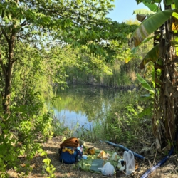  Resting after pinapat to have lunch  next to a delightful pond.