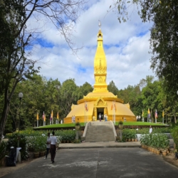 Ajahn Chah's stupa.