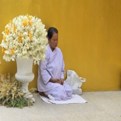  Meditating outside Ajahn Chah's stupa.