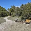  The end of the sandspit - Papa's Seat.